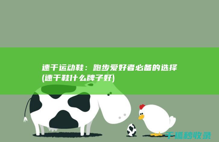速干运动鞋：跑步爱好者必备的选择 (速干鞋什么牌子好)