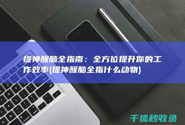 提神醒脑全指南：全方位提升你的工作效率 (提神醒脑全指什么动物)