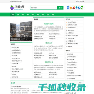 才华超众网