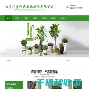 北京绿植租赁