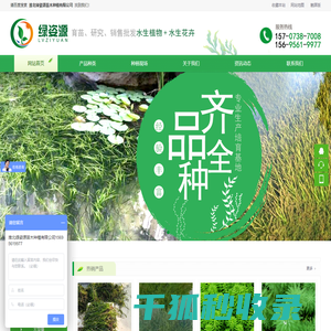狐尾藻